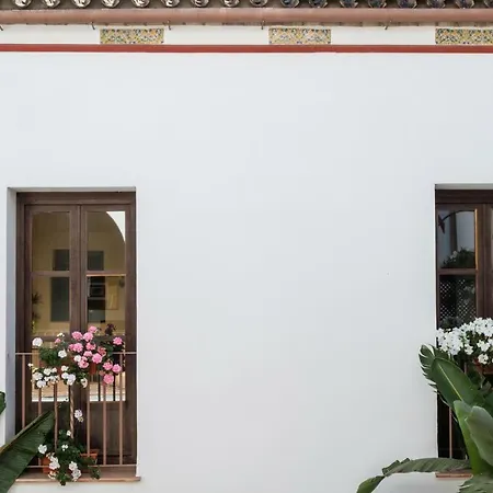 Patios De La Judería Córdoba
