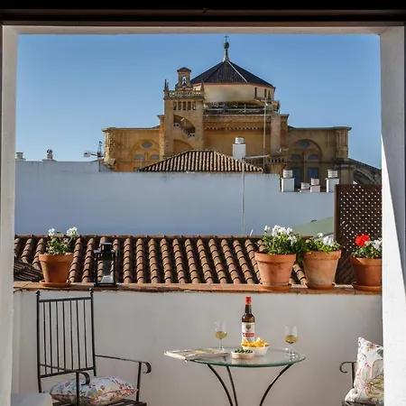 Patios De La Judería *