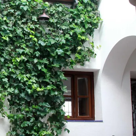 Apartamento Patios De La Judería