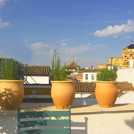 Patios De La Judería Córdova