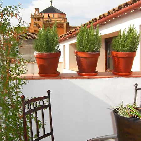 Apartamento Patios De La Judería *